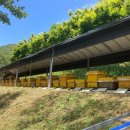 동령농장 이미지