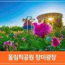 연푸드5호점 | 5월 서울 가볼만한곳 추천, 올림픽공원 장미광장, 서울 주말 나들이