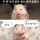설빙(경기동두천동양대점) | [8월 월간, 숨] 끝과 시작.
