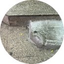 나여사김밥 | 퇴사앞두고 경골,비골 발목골절되는 바보가 있다? 네~ 그게 저에요~ 발목골절 수술 입원 후기