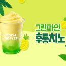 코코치노 이미지