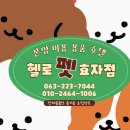 헬로펫 효자점 이미지