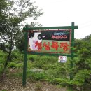 청심목장 이미지