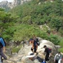 신기초등학교2 이미지