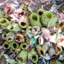 벌등공원 이미지