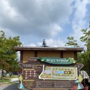해미읍성 역사캠핑장) 서산 해미 아기랑 당일치기 물놀이하기 좋은곳/ 원두막 이용 후기, 가격, 자리추천