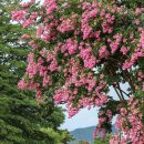 온양민속박물관 이미지