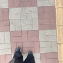 별내별가람역 카페 추천, 널커피 (null coffee) 내돈내산 후기