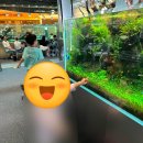 가든치과의원 이미지