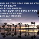 오늘의 묵상 - 시편 92편 1절에서 16절 이미지