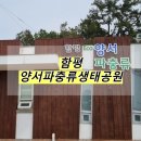 양서·파충류생태공원 주차장 이미지