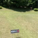 그린피아라운지 이미지