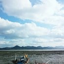 갯벌생태 체험장 이미지