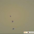 아프리카 동물병원 이미지