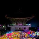 다이소경북 - 2464 | 다이소경북