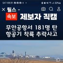 2024.12.29 무안 공항에서 제주항공 여객기 사고시 현장 동영상 이미지