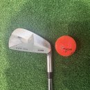 유현로 | 김포골프샵 피팅 아이언 클럽 입고 소식 듣고 중고 아이언 비교 시타 후기