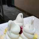 [내돈내산 카페 후기] 카페 토르토니, 히포파운드