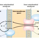 더큰사랑약국 이미지