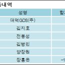 대덕지디에스(주)