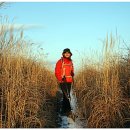 삼성산목장 이미지