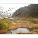 경안천습지생태공원 이미지