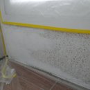 수송세영리첼 이미지