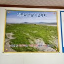 선창감태칼국수 이미지