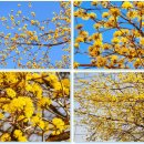 서울·성북 미디어문화마루 앞 이미지