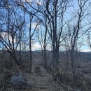 영인면 토정로 이미지