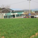 이춘우농장 티스토리