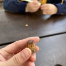 (주)다린 이미지