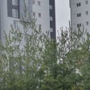 에너지 플러스 허브 내곡 이미지