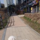 트리밍매직