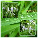 쌍둥이네 농장 이미지