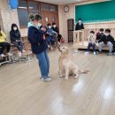 우림초등학교 이미지