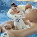 바사리 풀빌라 이미지