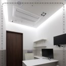 동물병원 여기로 이미지