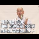 [법륜스님의 즉문즉설 제 1525회] 기도라는 것이 어떤 인연으로 성취가 되는 건지 궁금합니다 이미지