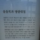 진도아리랑회센터 이미지