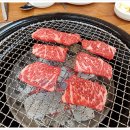고기나라 이미지