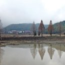 선문