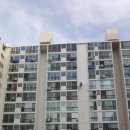 사하구-69 이미지