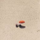 드로잉으로 만나는 소소한 일상 이미지