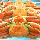 거성식당 이미지