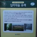 울산 십리대숲.태화강대공원 이미지