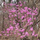 내고향공인중개사사무소 이미지