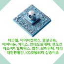 에버메딕스 이미지