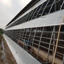 조안목장 이미지