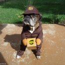 황금마차 이미지